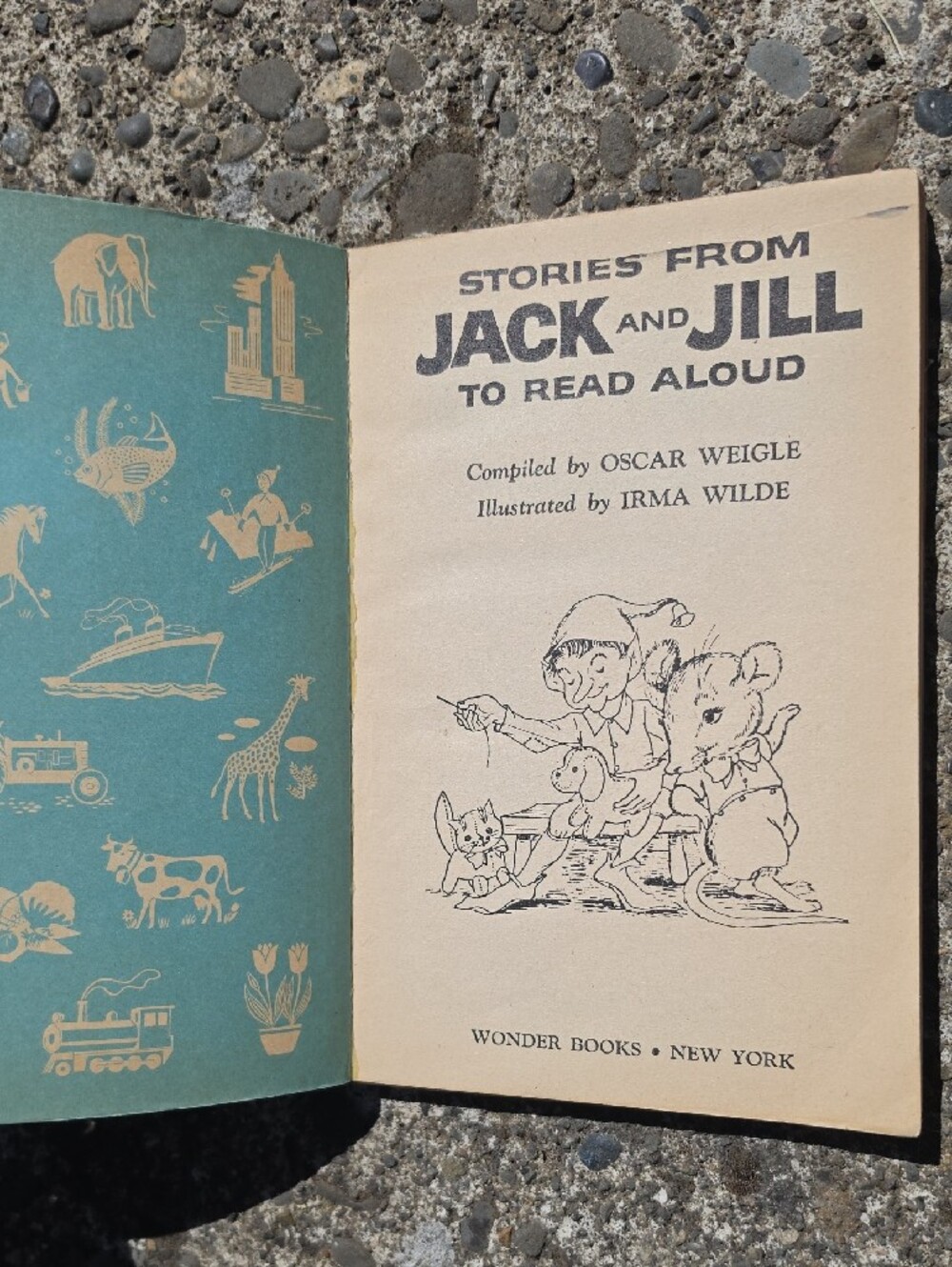 Jack and Jill Read-Aloud Book for Kids — Green Cover - Picture 4 of 6